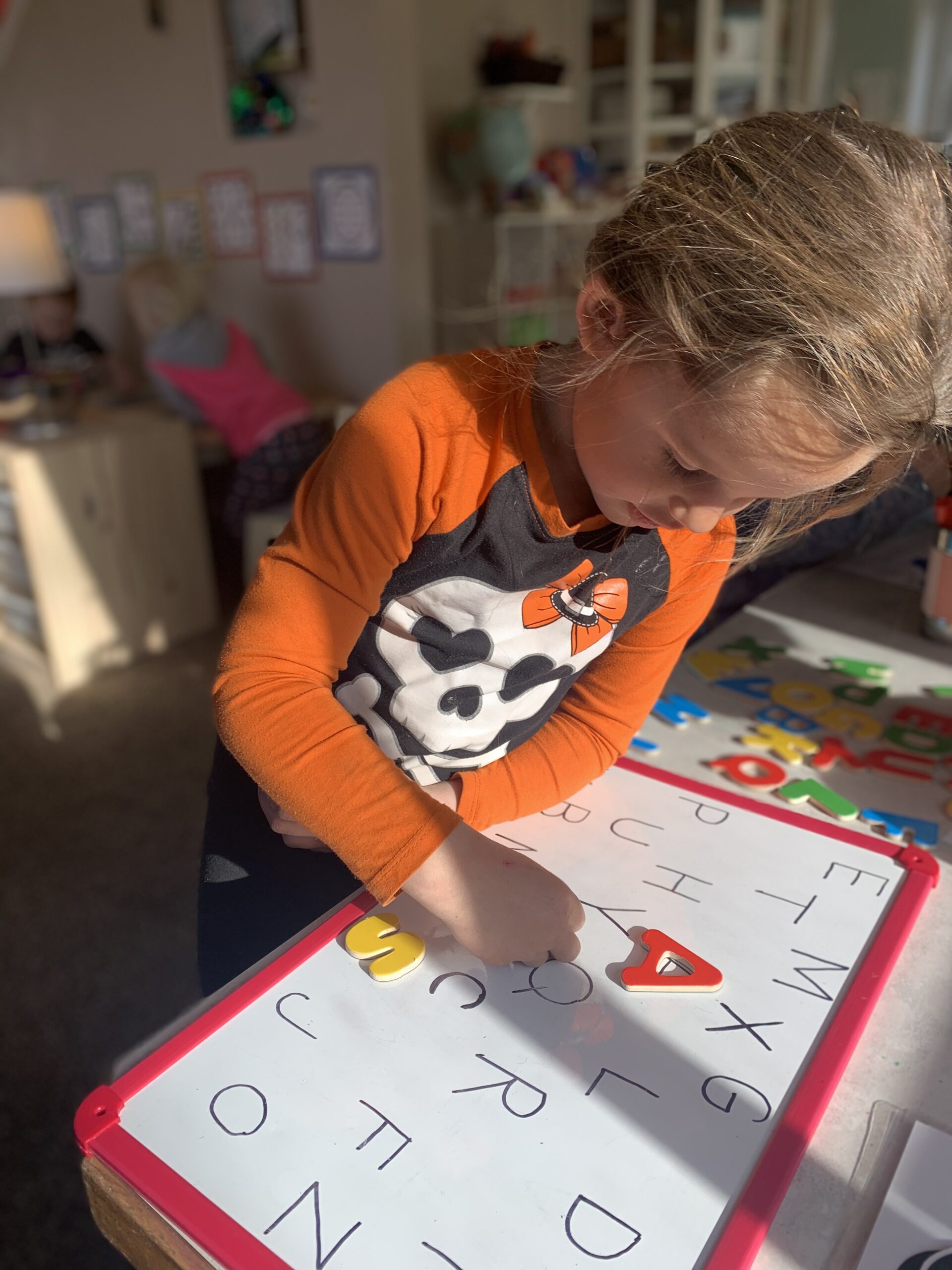 Little Learners School